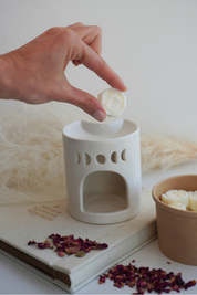 Wax Melts de Rosa