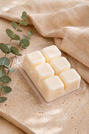 Wax Melts de Eucalipto