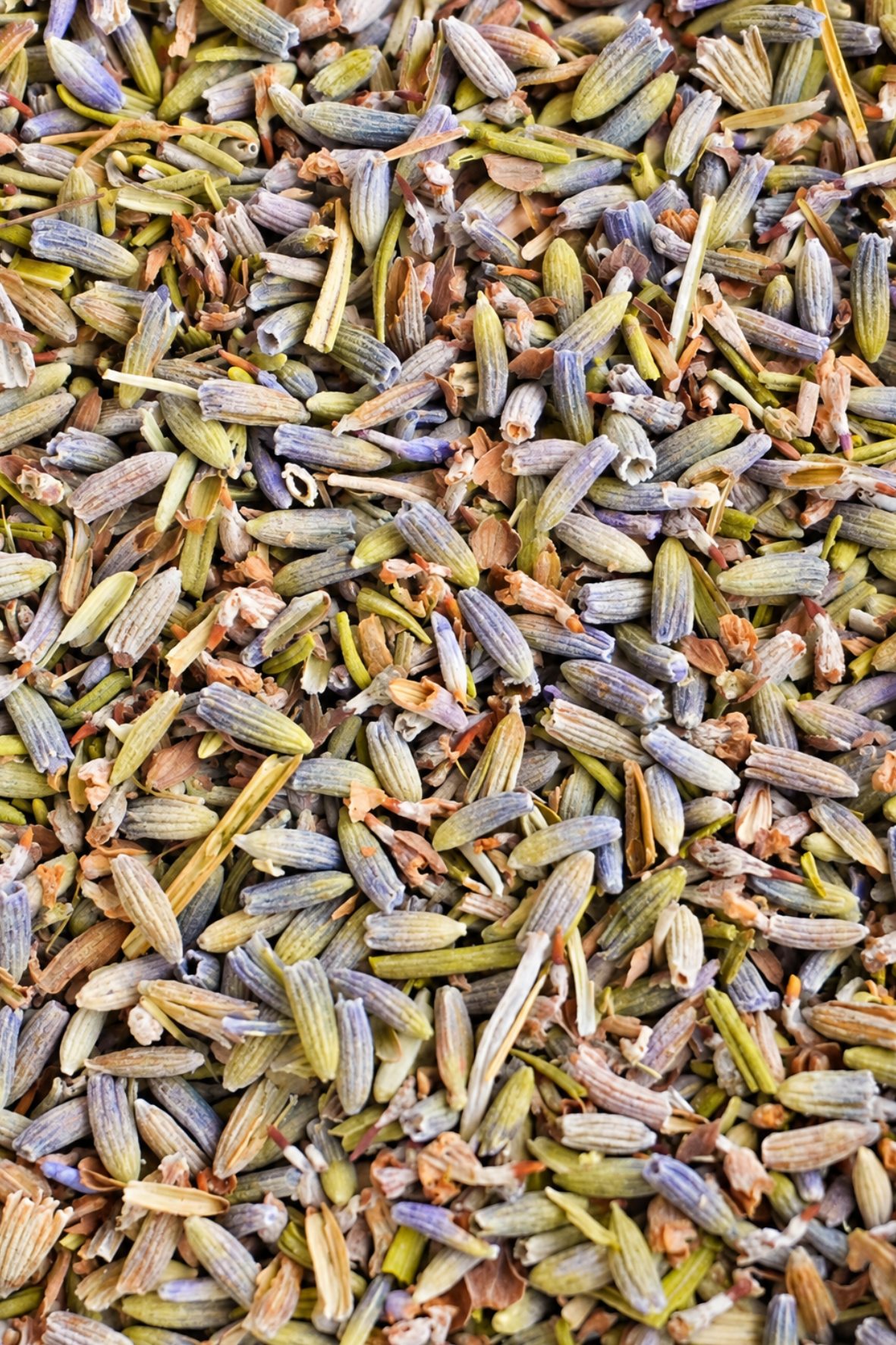 Té de Lavanda