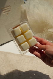 Wax Melts de Coco