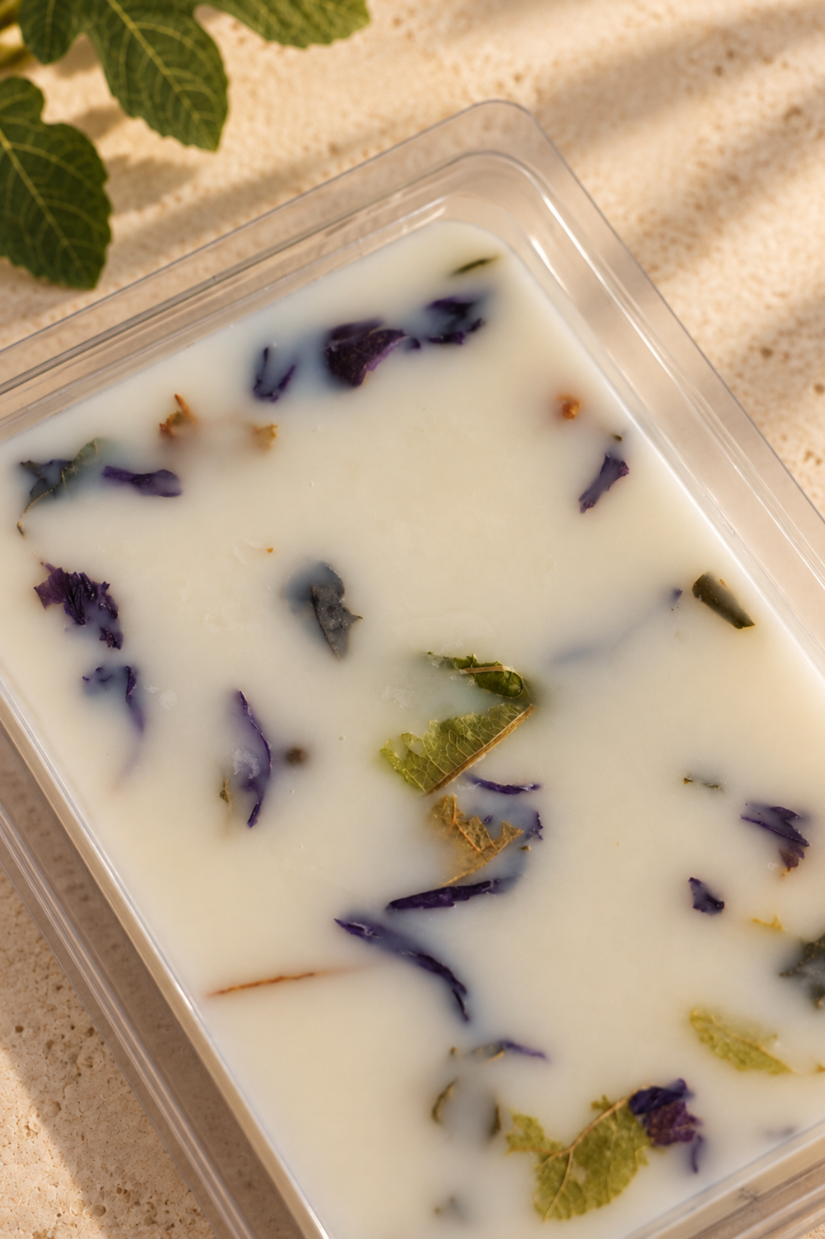 Wax Melts de Hoja de Higuera