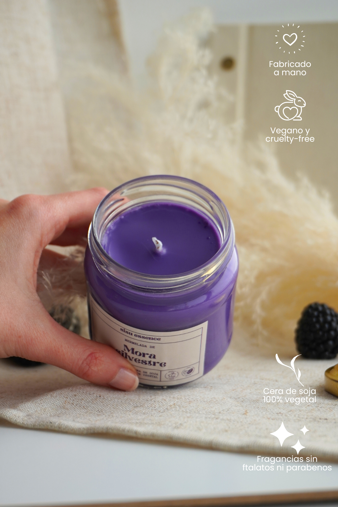 Vela de Mora Silvestre