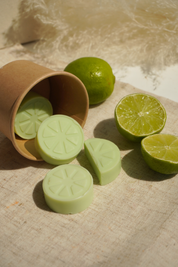 Wax Melts de Citronela