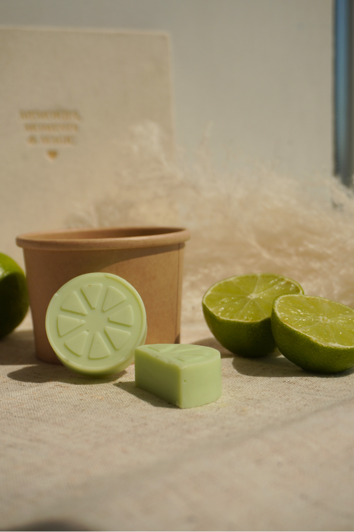 Wax Melts de Citronela