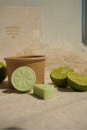 Wax Melts de Citronela
