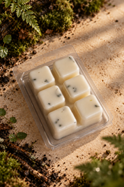 Wax Melts de Tierra Húmeda