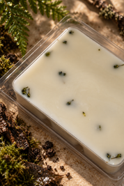 Wax Melts de Tierra Húmeda