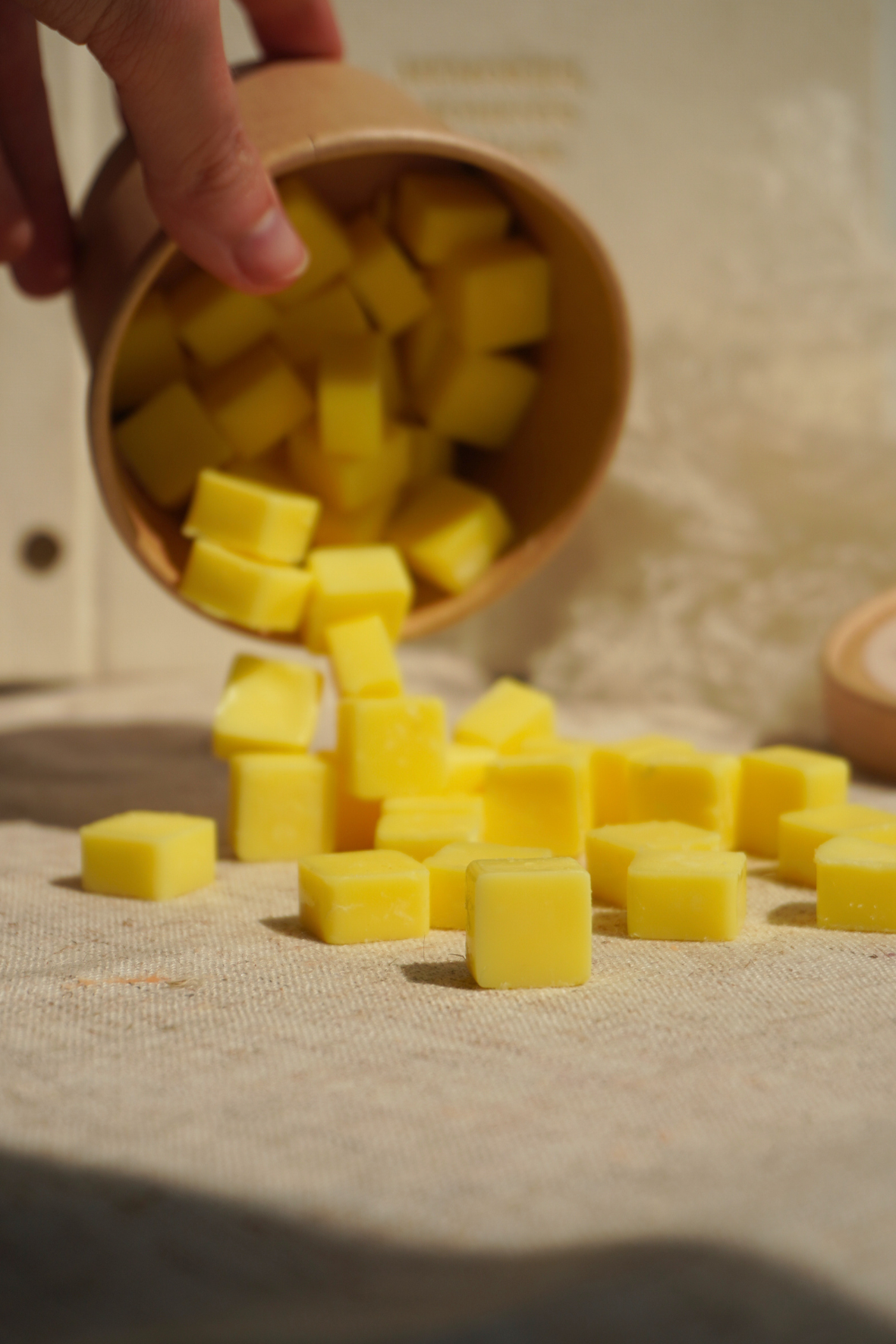 Wax Melts de Piña Colada