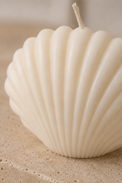 Vela Concha de mar