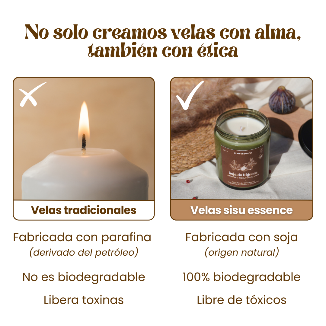3_aa86831e-1bb5-442c-a5e3-95248a576688.png