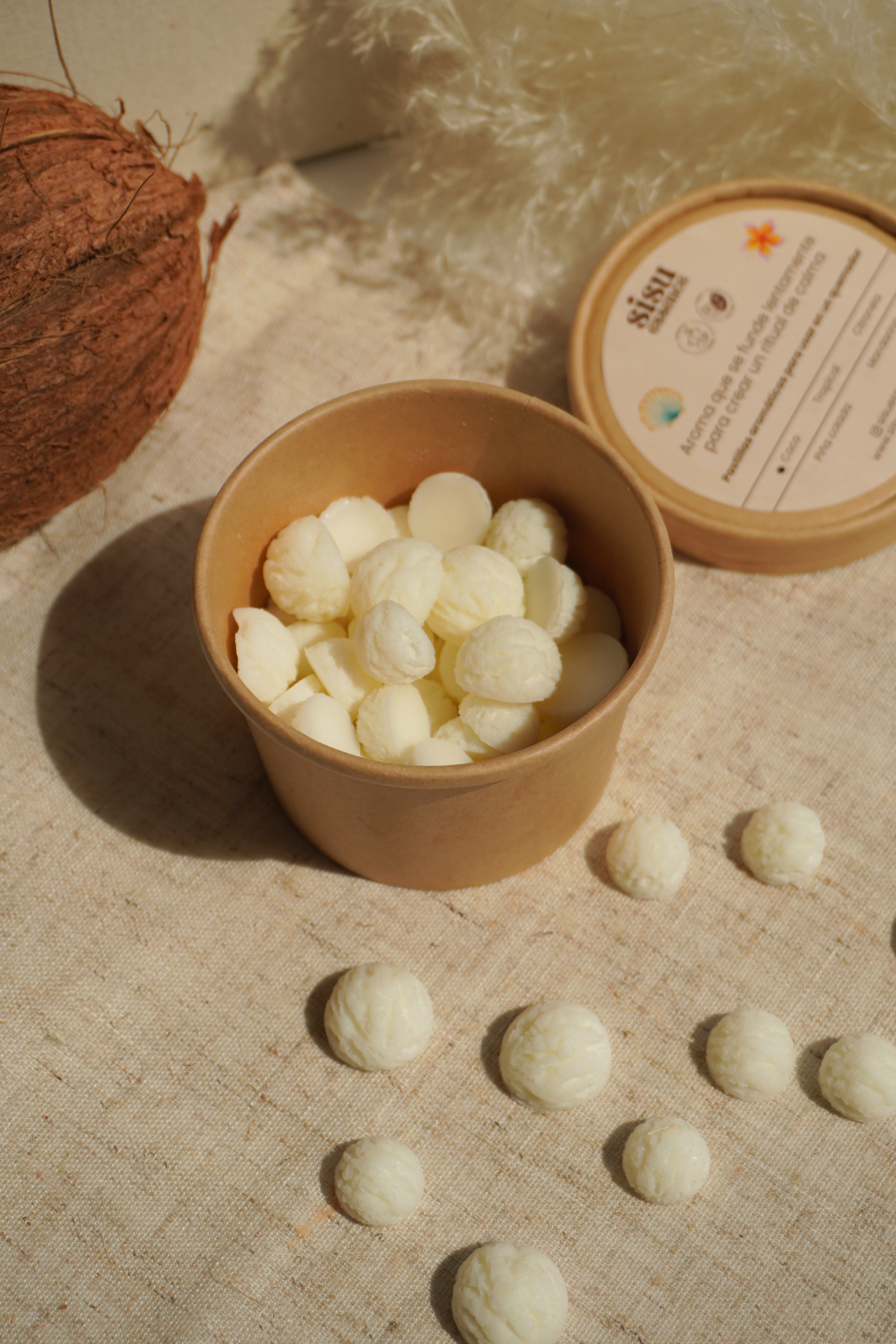 Wax Melts de Coco