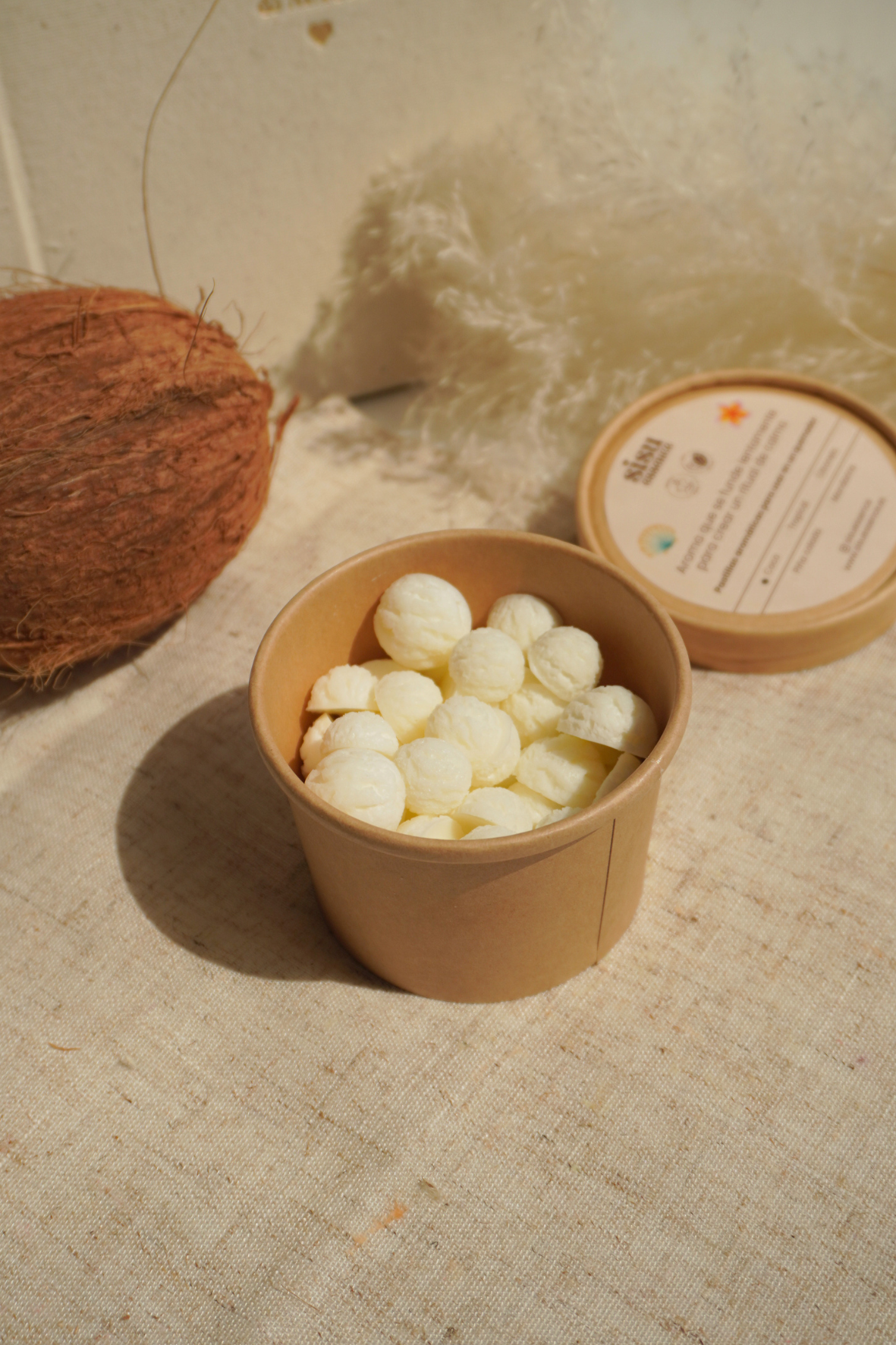 Wax Melts de Coco