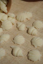 Wax Melts de Tropical