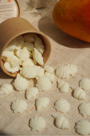Wax Melts de Tropical