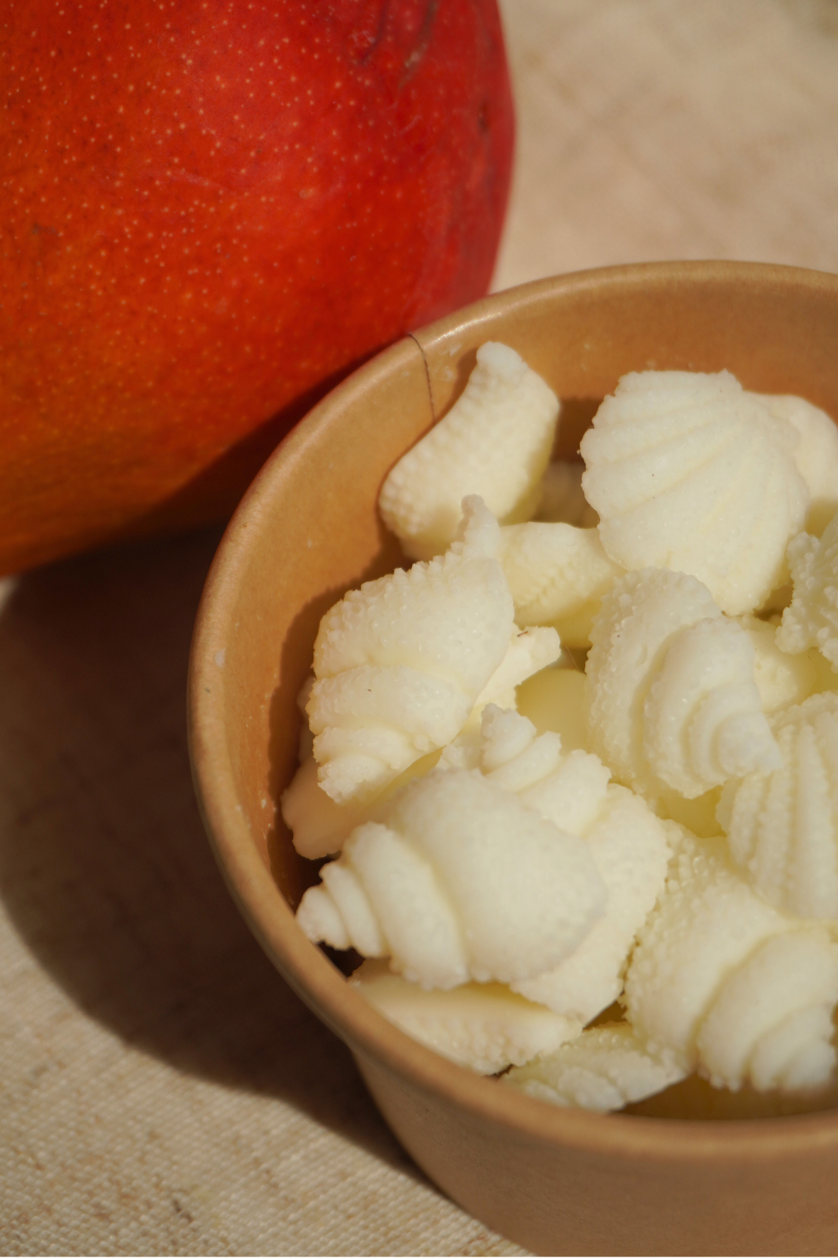 Wax Melts de Tropical