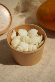 Wax Melts de Tropical