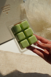 Wax Melts de Citronela