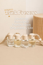 Kit 4 ambientadores de coche frescos