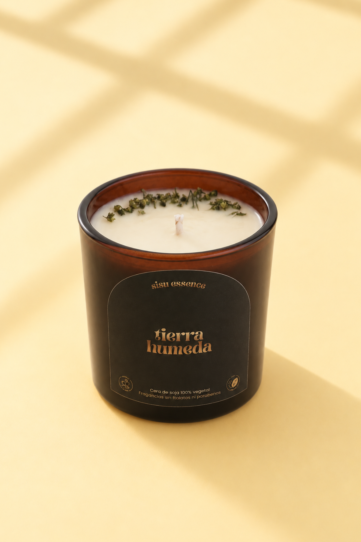 Vela de Tierra Húmeda
