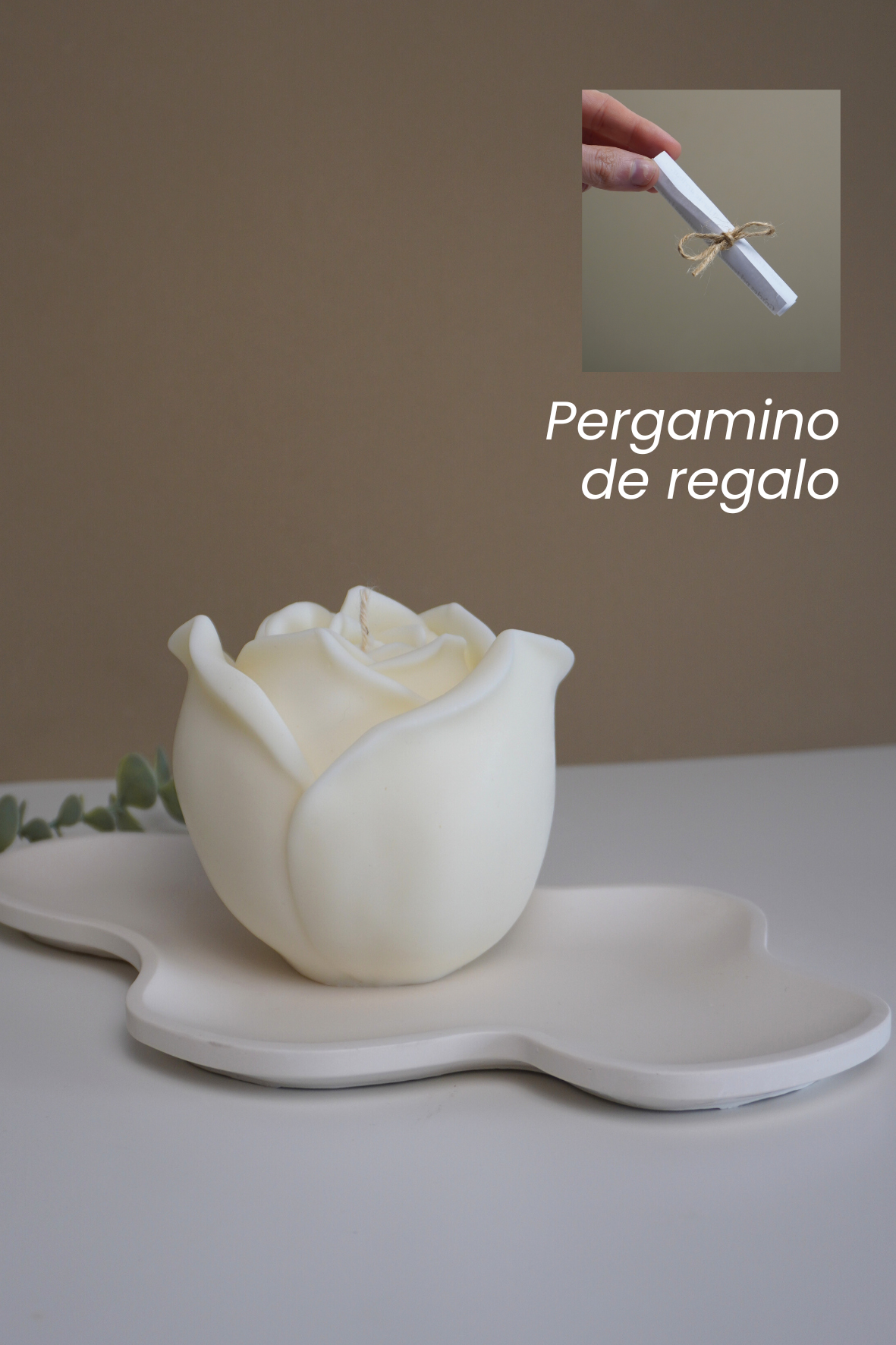 Kit Decorativo de Sant Jordi