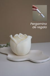 Kit Decorativo de Sant Jordi