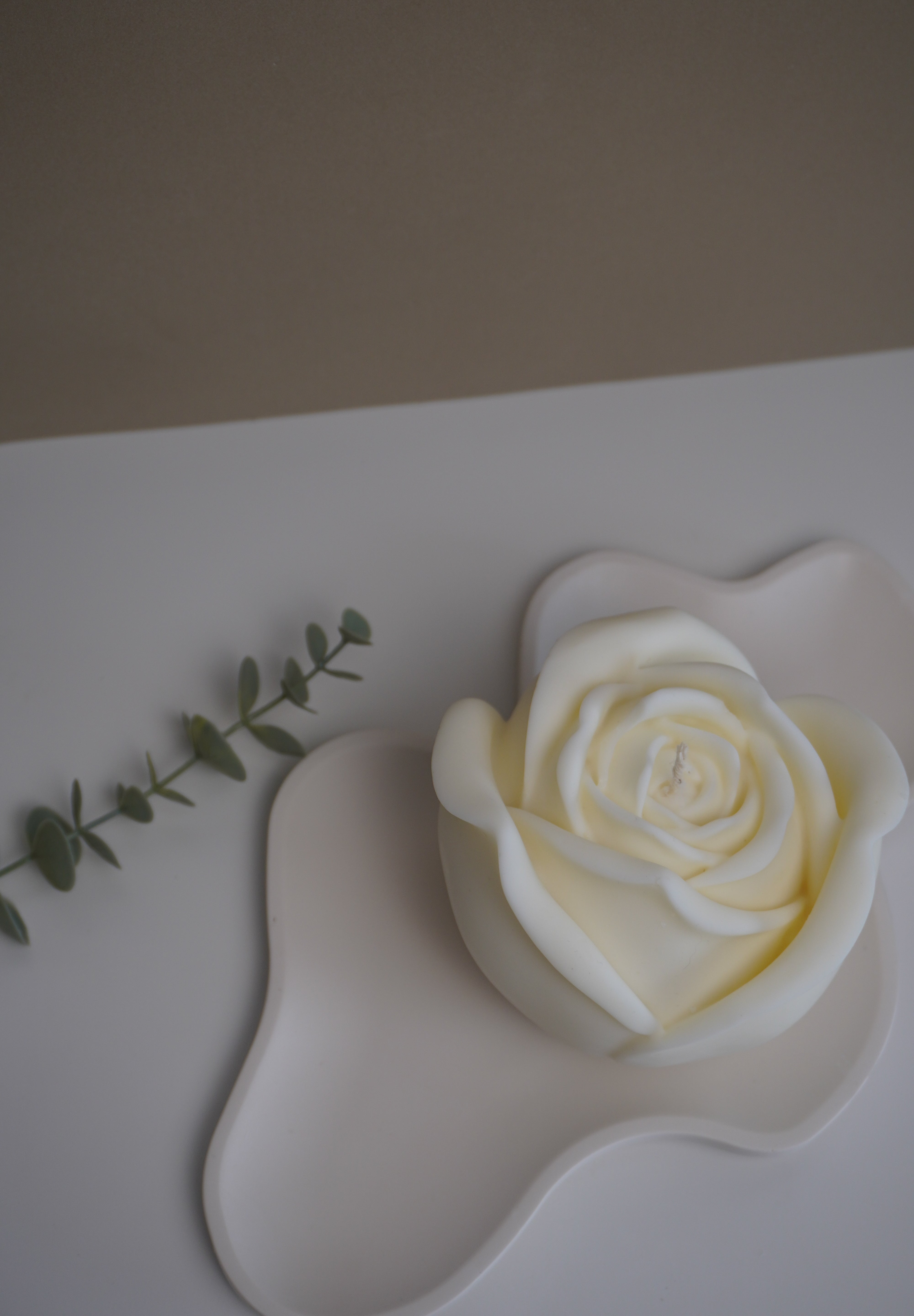Kit Decorativo de Sant Jordi