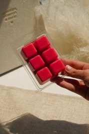 Wax Melts de Fresas con Nata